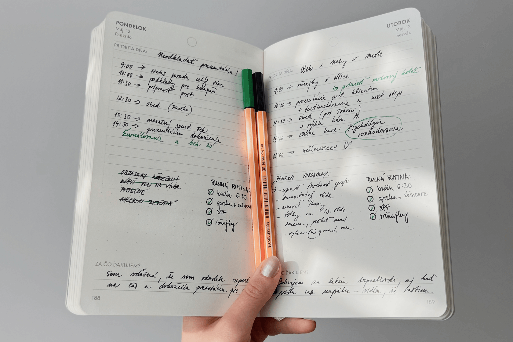 Half-yearly diary 25/2