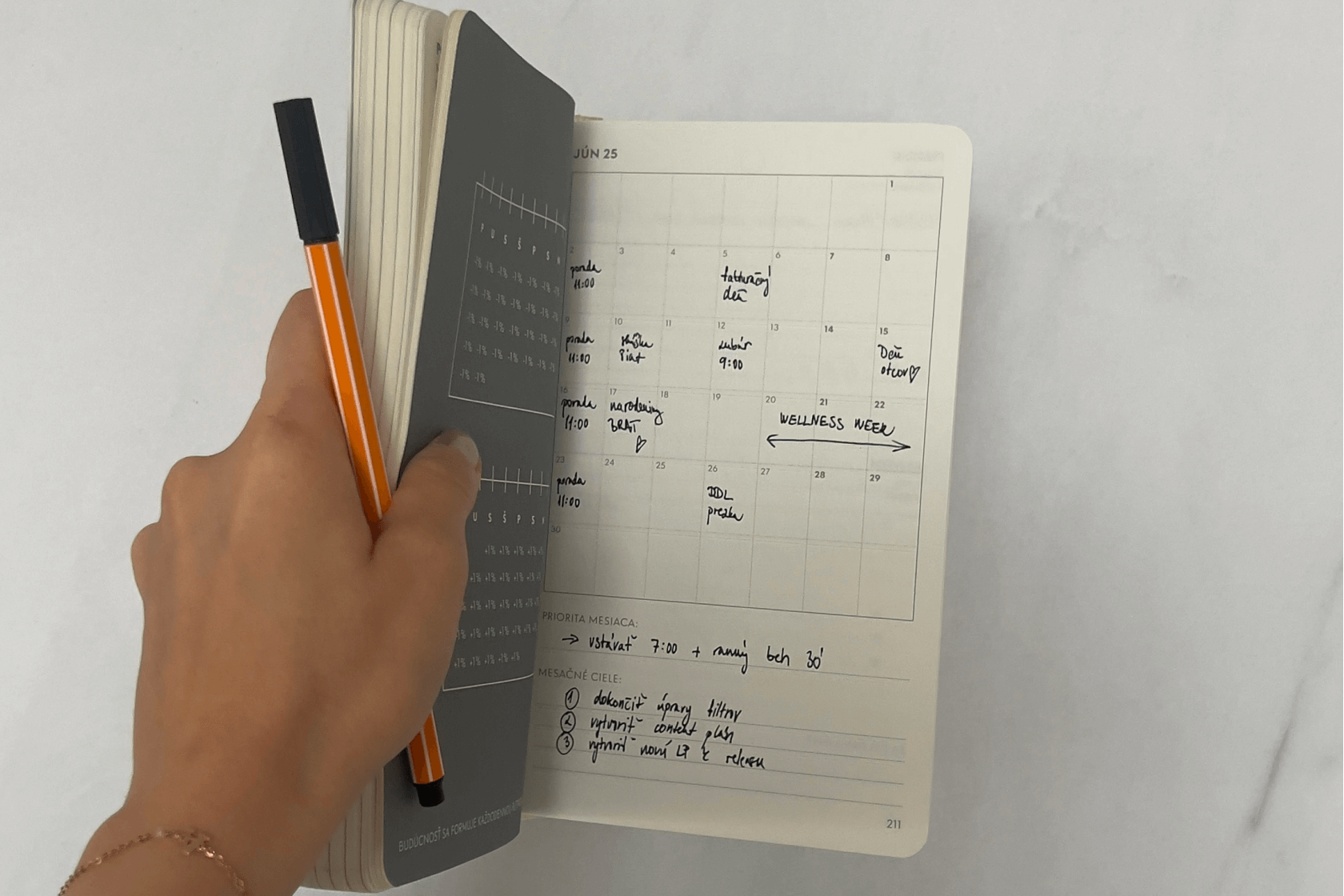 Half-yearly diary 25/2