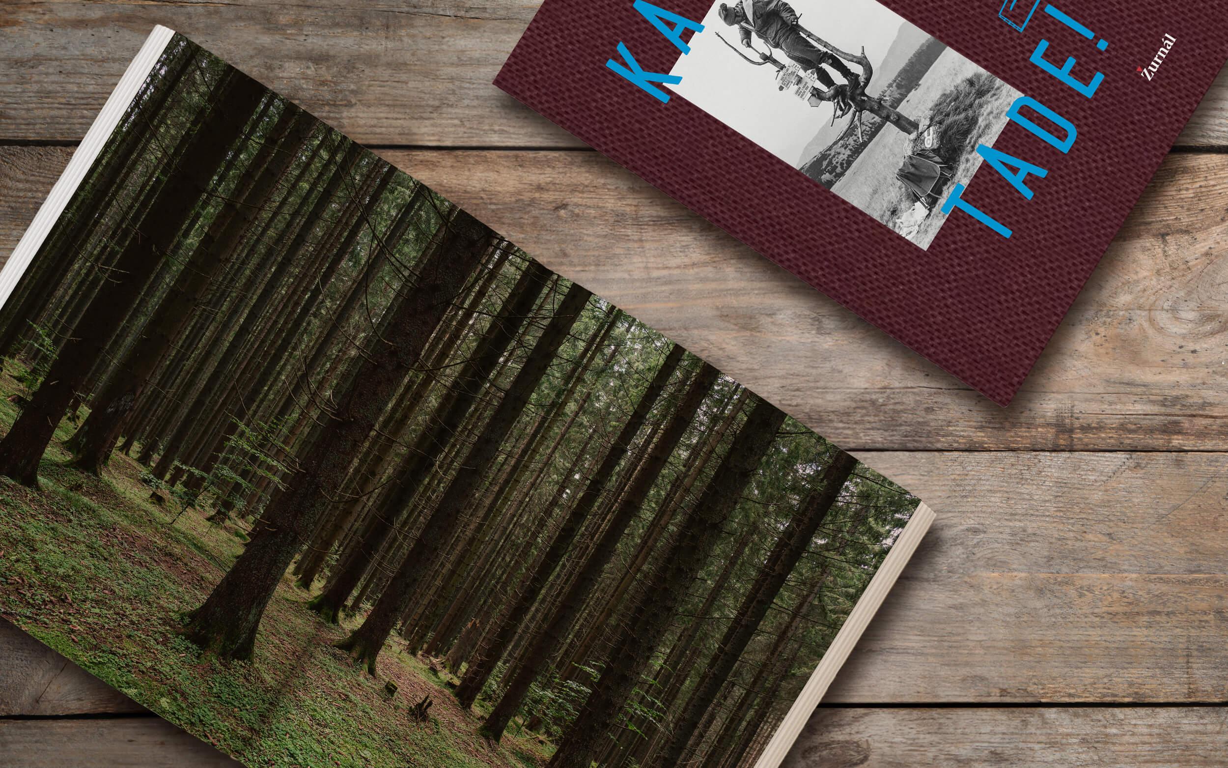 On Their Shoulders: A Book about Those Who Carry a Somewhat Heavier Load