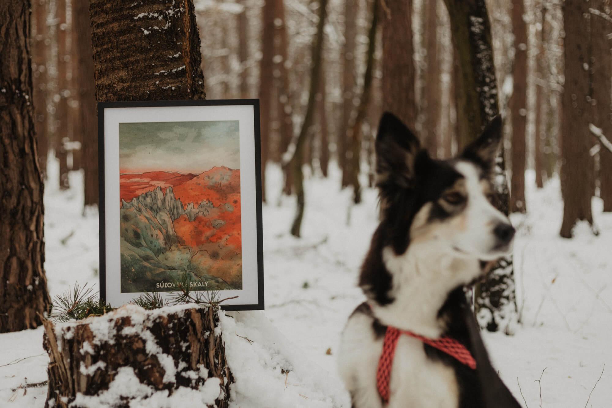 060: Súľovské skaly - Tina Minor