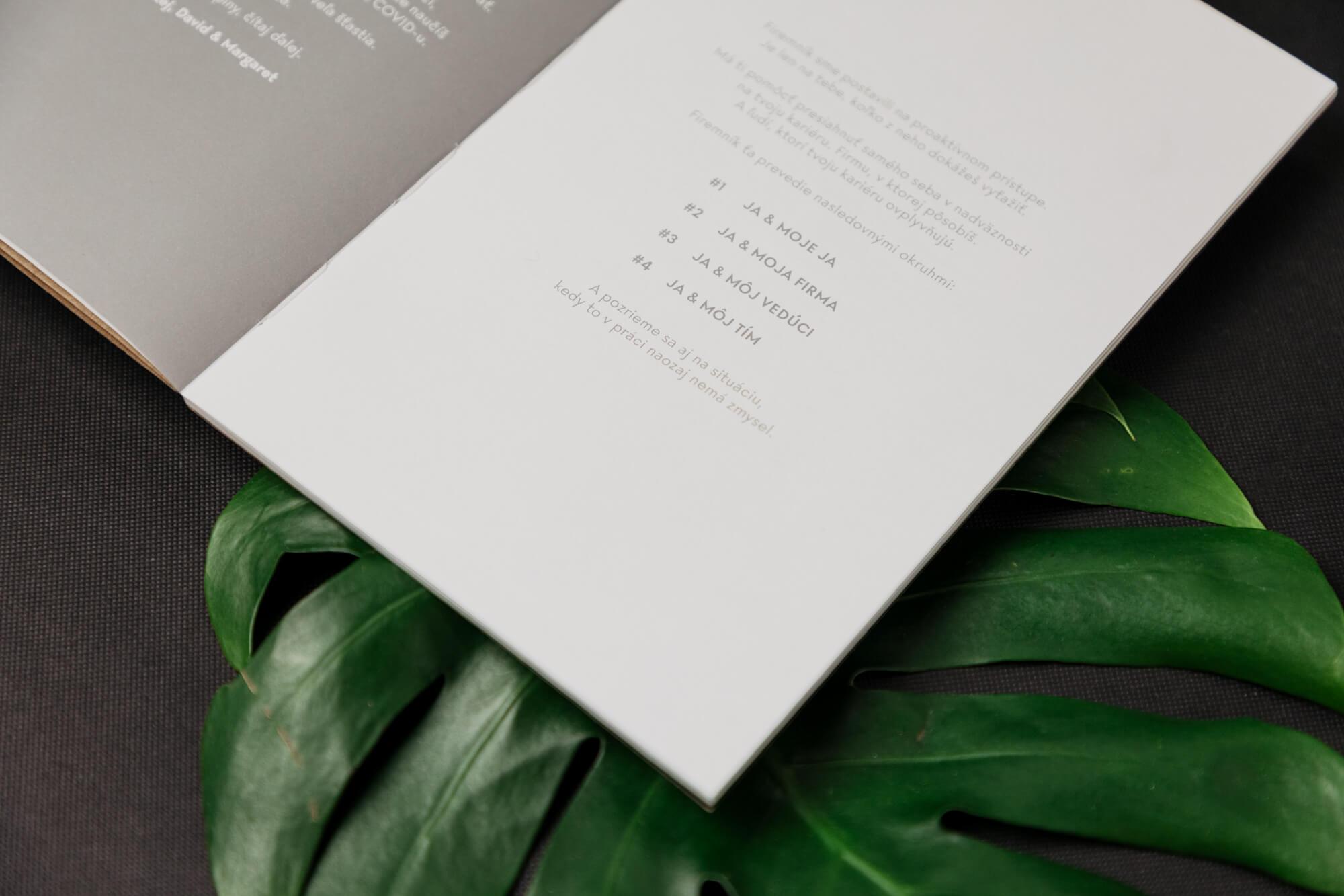 Firmník - Czech version