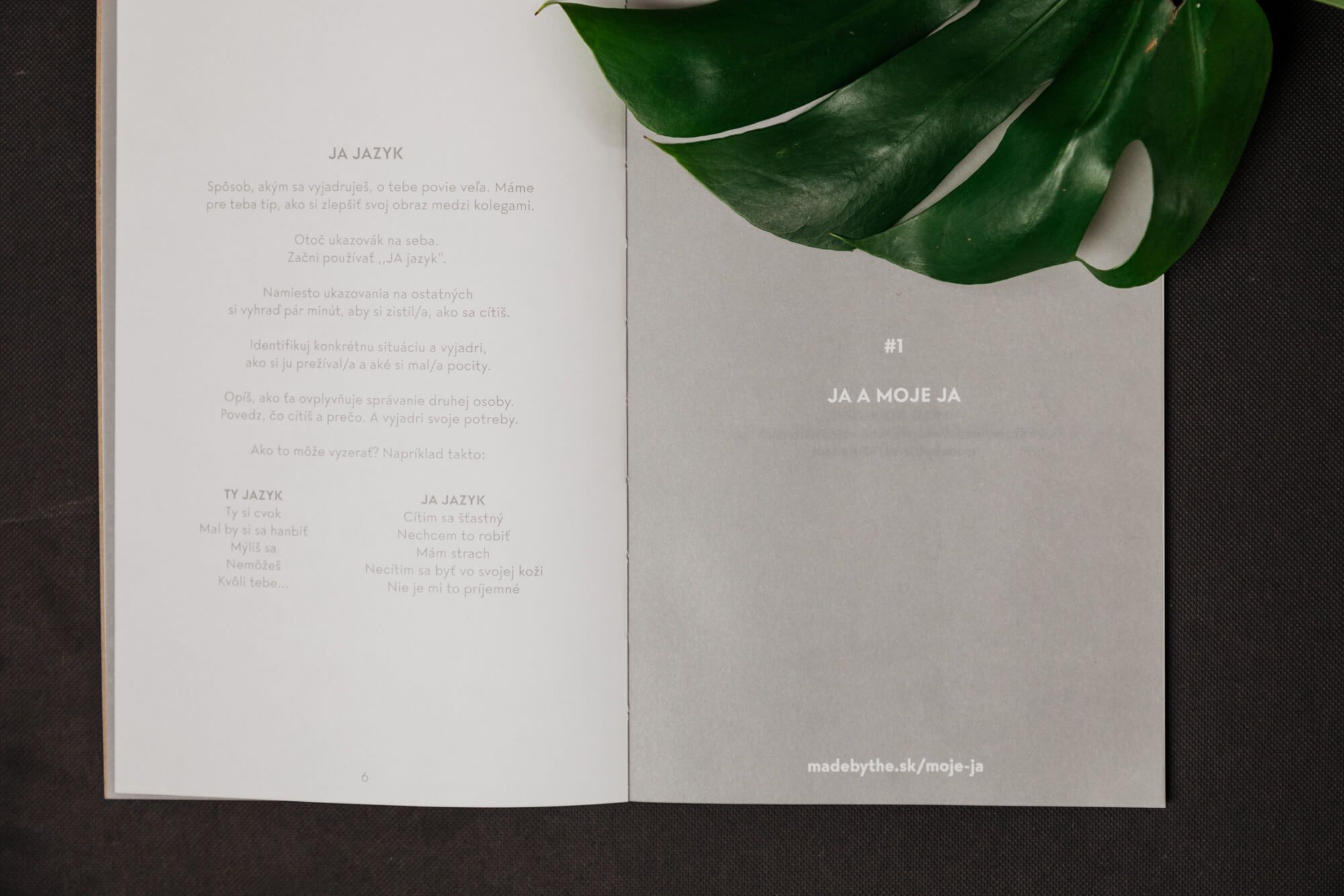 Firmník - Czech version